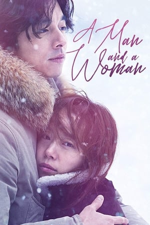A Man and A Woman (2016) Hindi Dual Audio 400MB