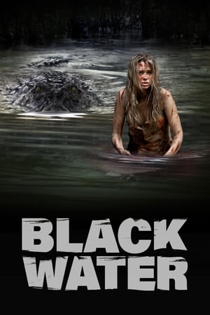 Black Water (2007) Hindi Dual Audio [1GB]