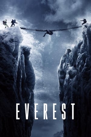 Everest (2015) Hindi Dual Audio 450MB