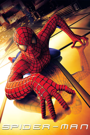 Spider Man 2002 100mb Hindi Dual Audio movie Download