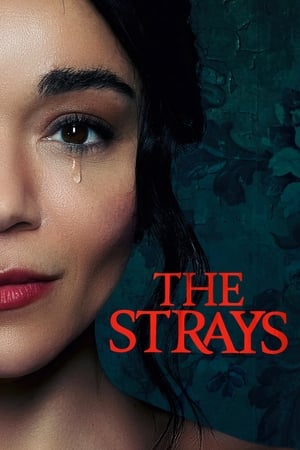 The Strays 2023 Hindi Dual Audio – 480p