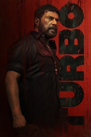 Turbo 2024 Hindi Dual Audio – 720p – 480p